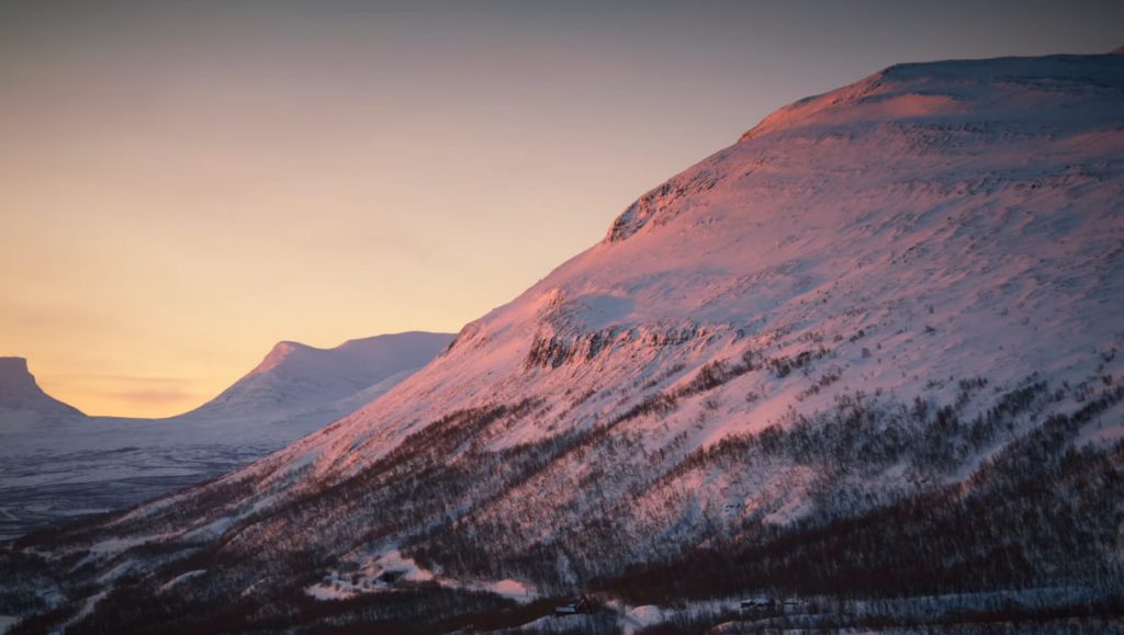 Norwegian beauties