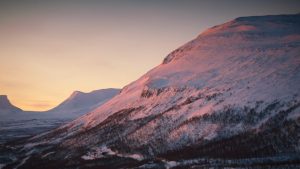 Norwegian beauties